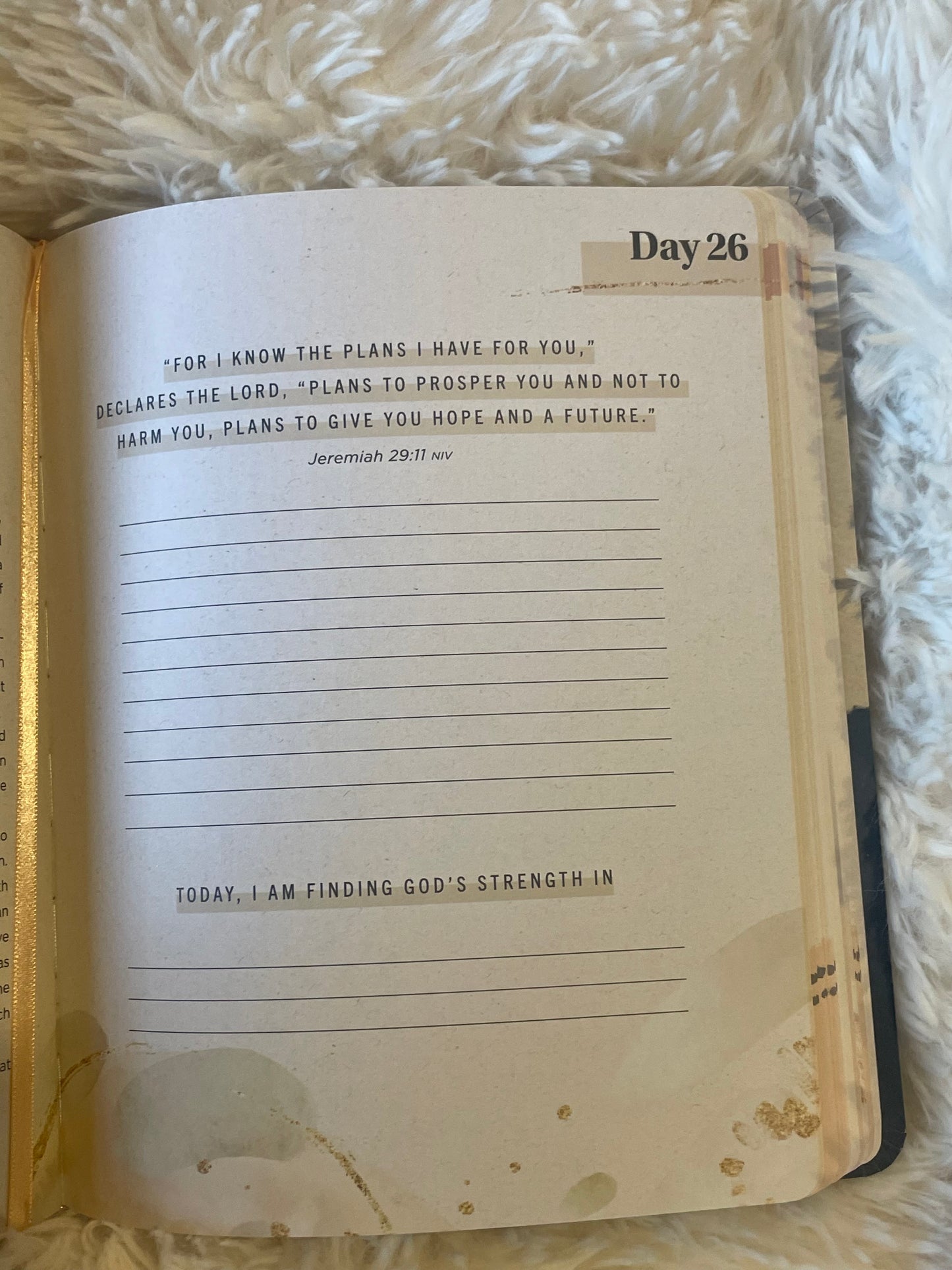 100 days of strength in any struggle